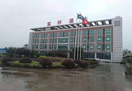 蜜桃成人无码区免费视频网站網