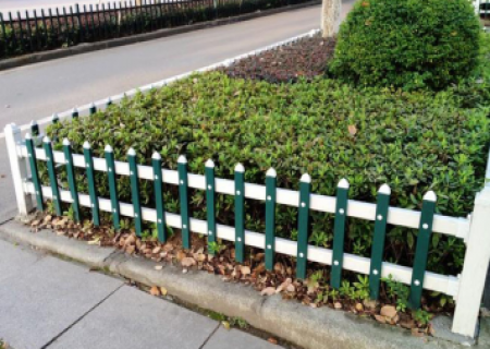 荊門綠化帶蜜桃成人无码区免费视频网站有哪些作用